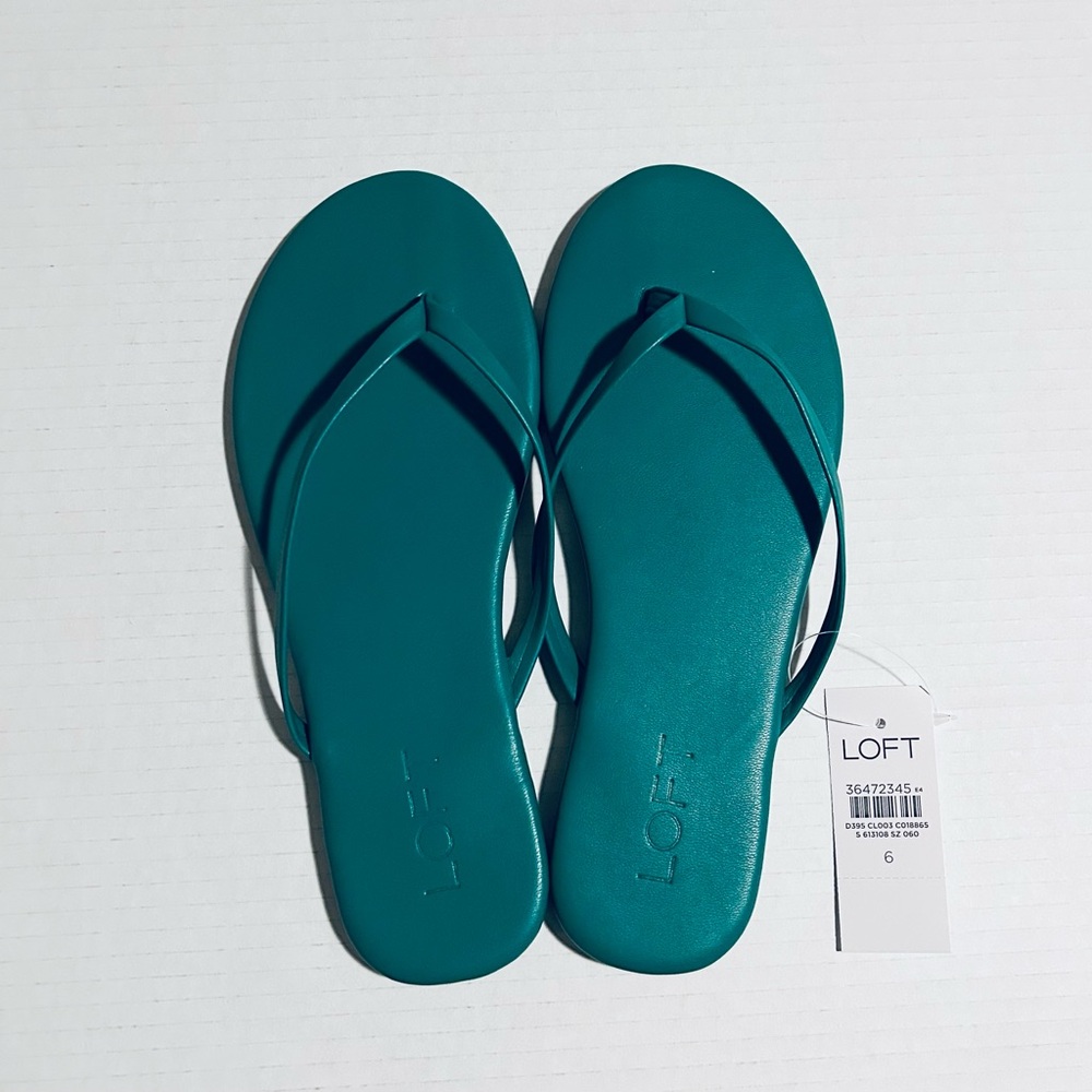 NWT LOFT Women’s Green Flip Flops